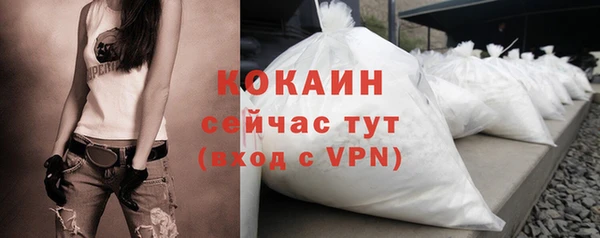 ECSTASY Няндома