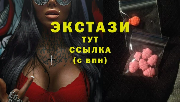 ECSTASY Няндома