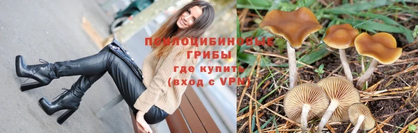 ECSTASY Няндома