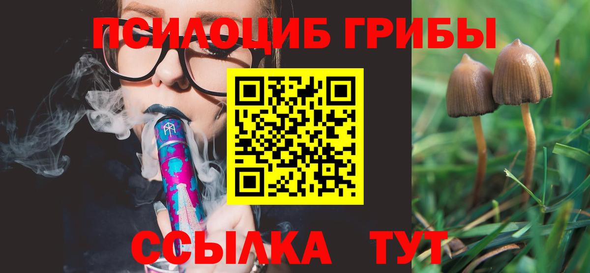 Псилоцибиновые грибы ЛСД Вологда